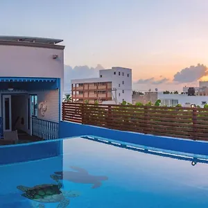 Séjour chez l'habitant Casa Barco Boutique, Isla Mujeres